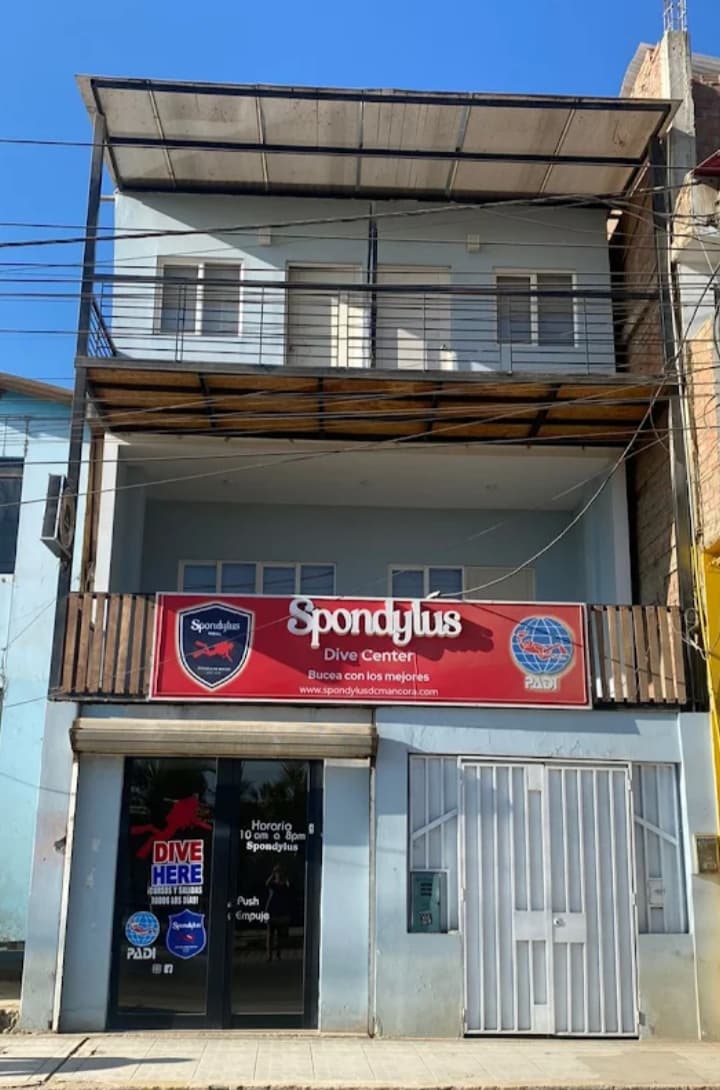 Spondylus DC Mancora