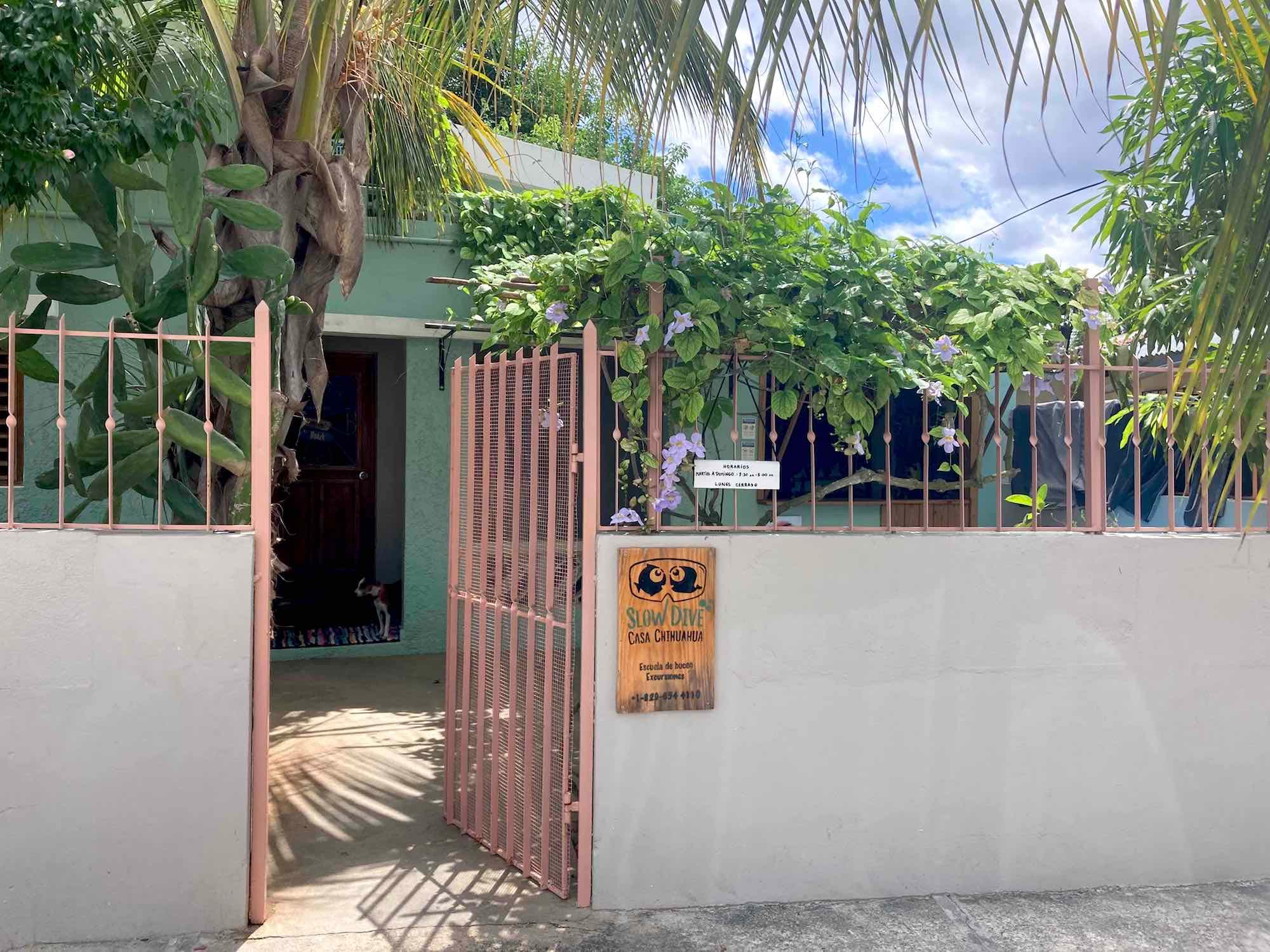 Slow Dive Casa Chihuahua