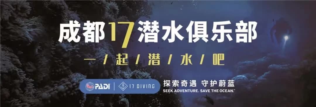 17 DIVING