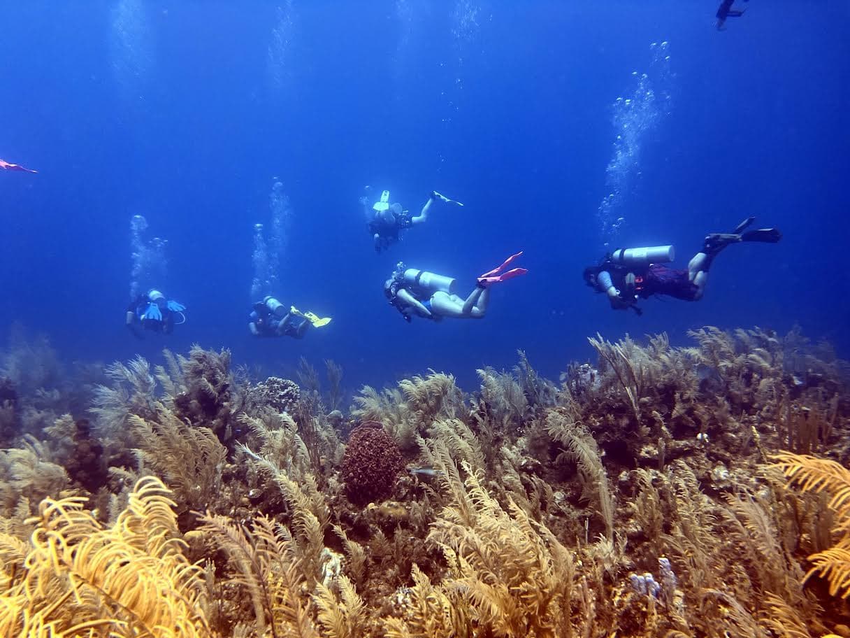 Bakersfield Scuba Center