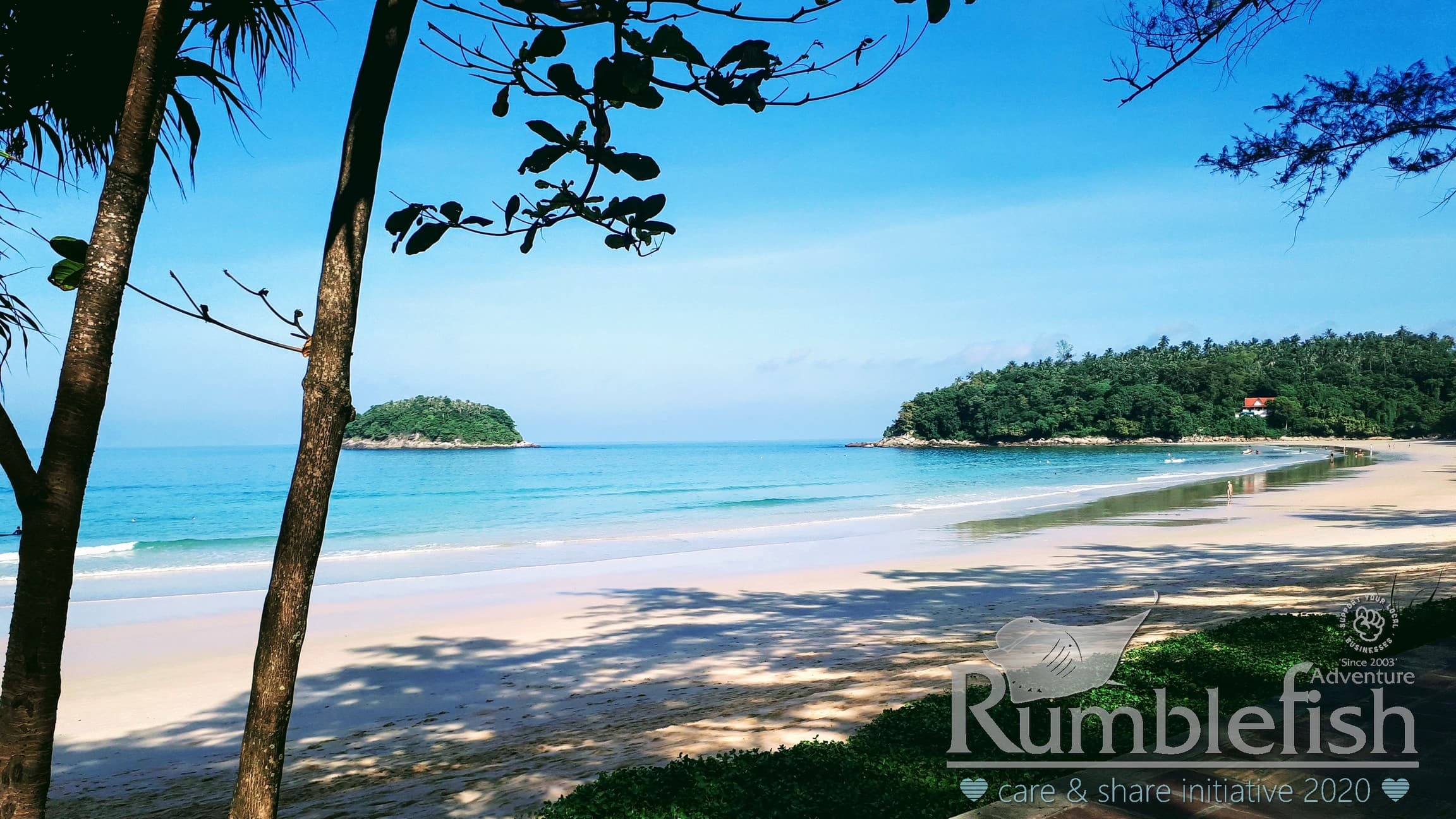 Rumblefish Adventure