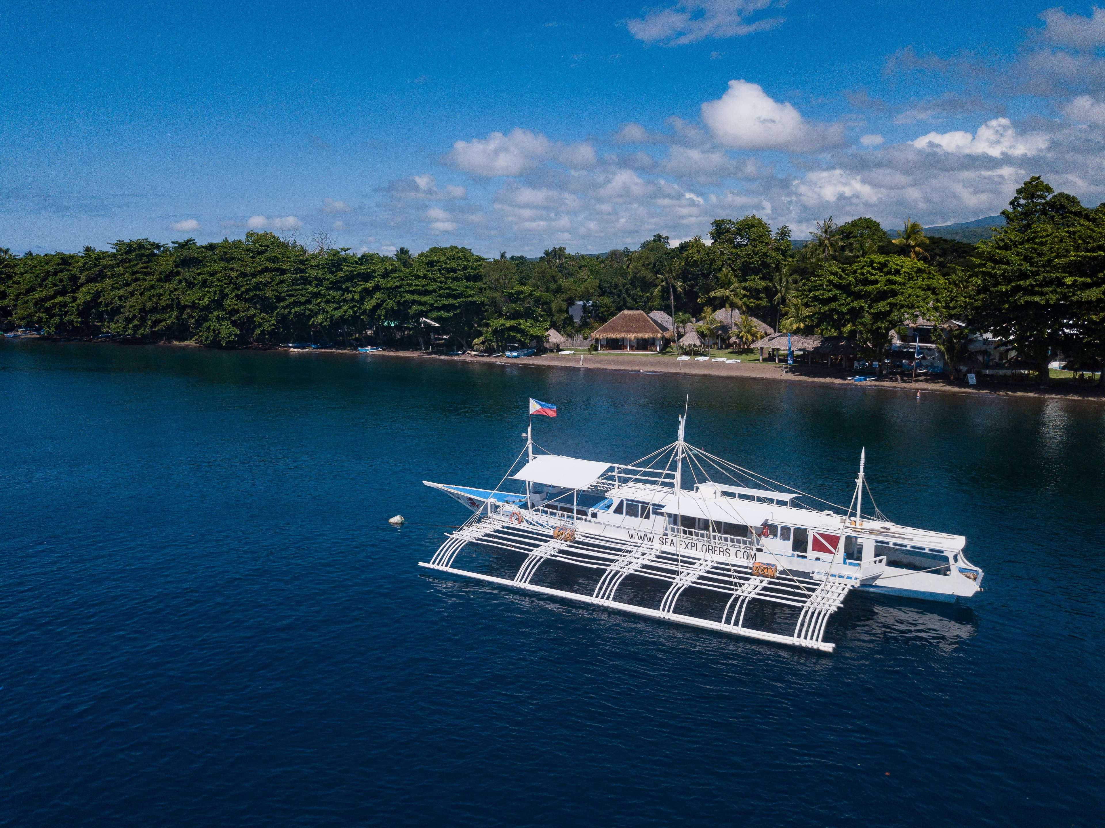 Sea Explorers - Dauin