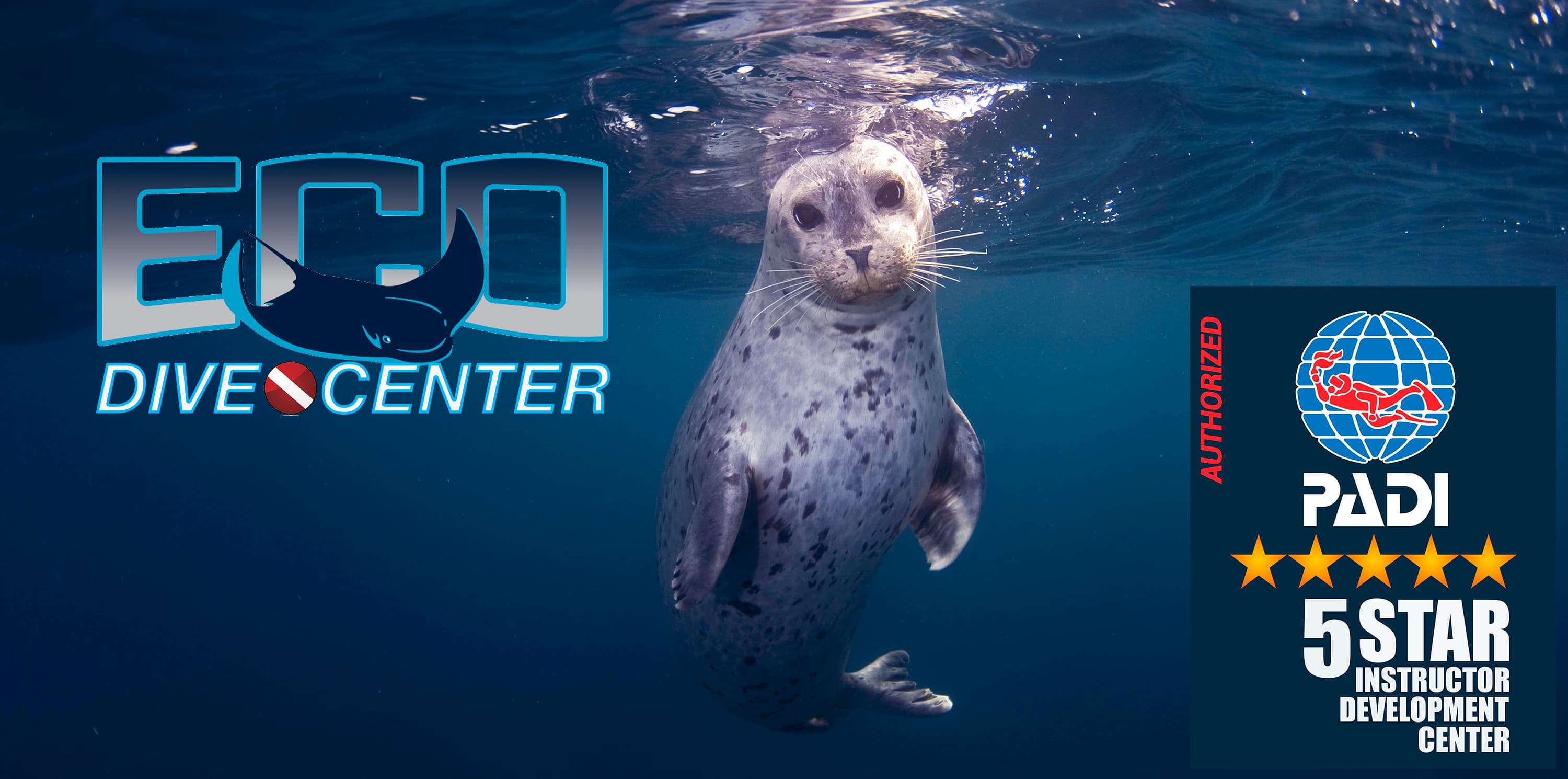Eco Dive Center