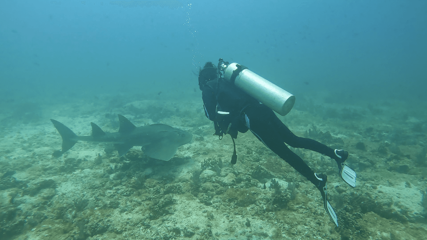 Omanta Scuba Diving Academy