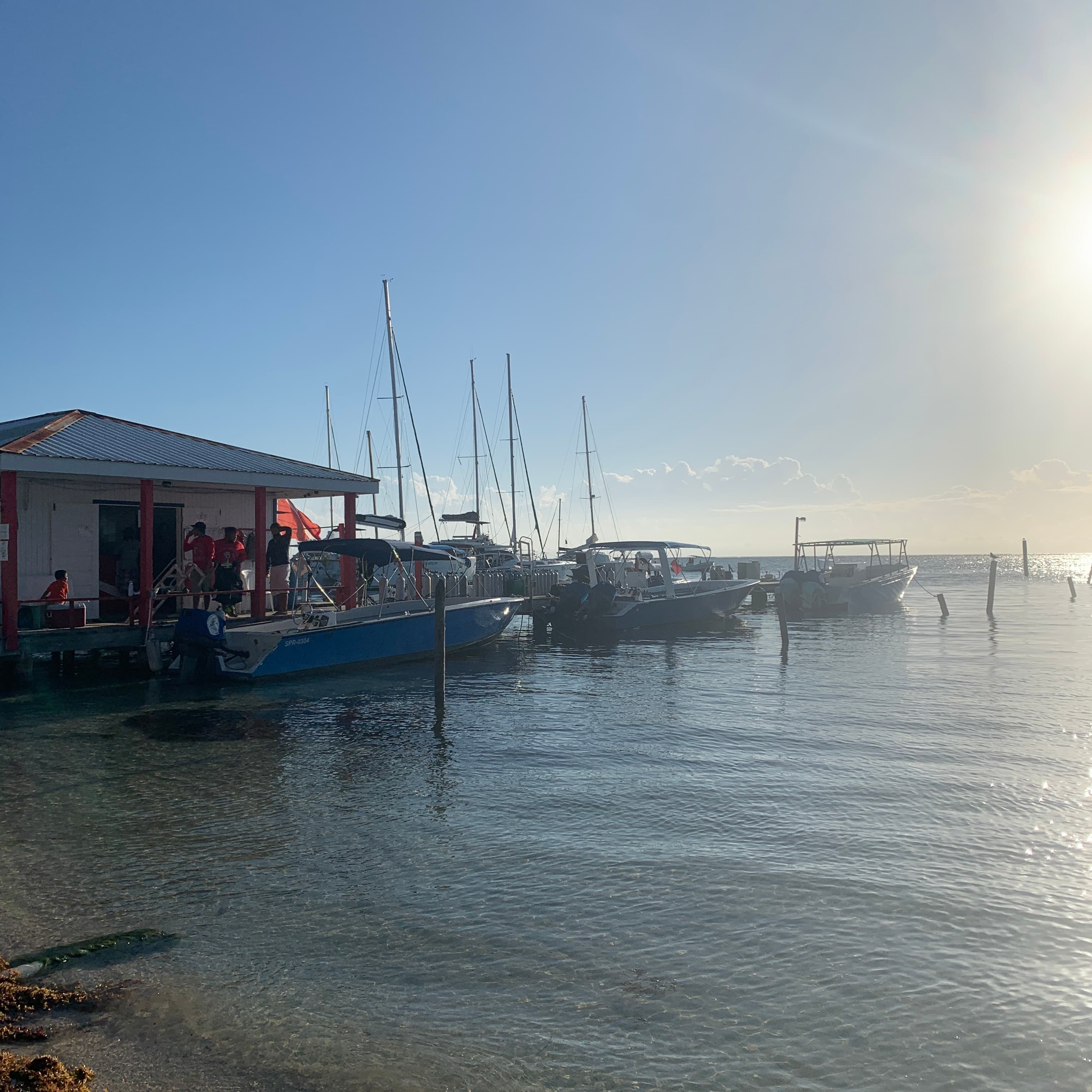 Scuba School and Family Dive Center Belize