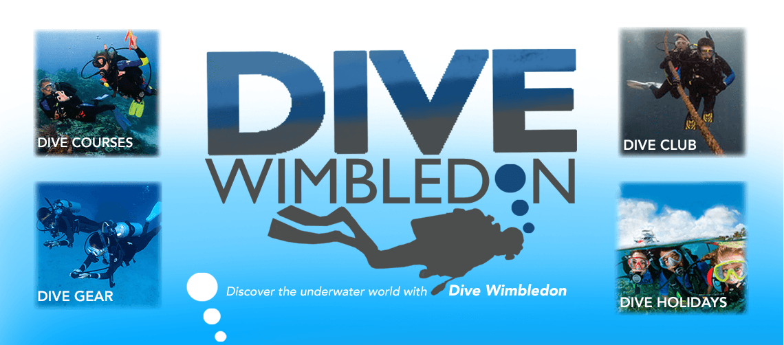 Dive Wimbledon