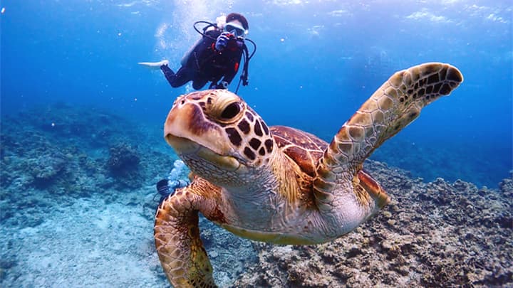 MARINE HOUSE SEASIR NAHA