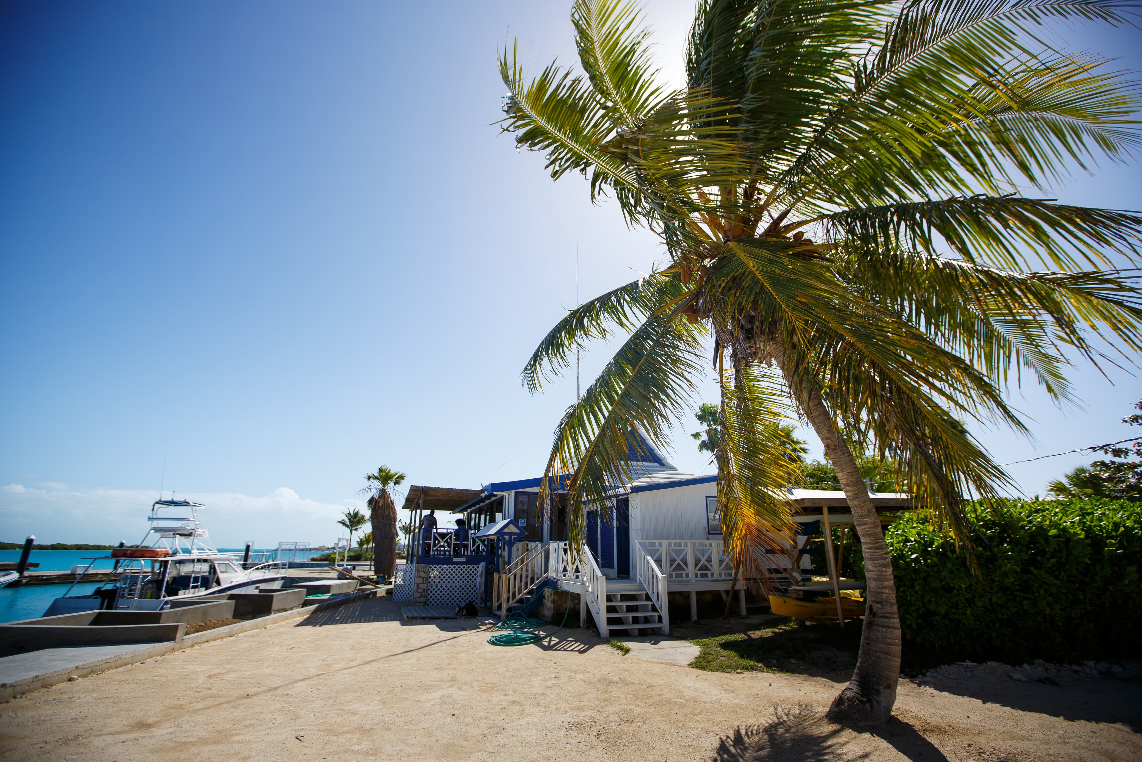 Big Blue Collective Ltd