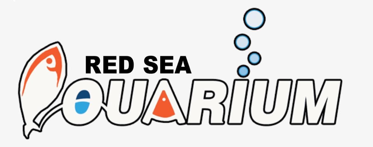 Aquarium Red Sea - Hurghada