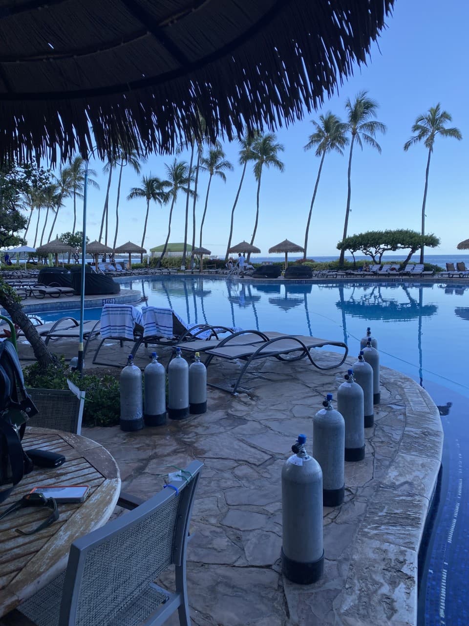 Living in the Flow Diving