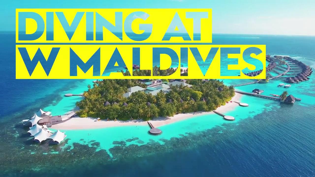 Down Under &amp; Wave