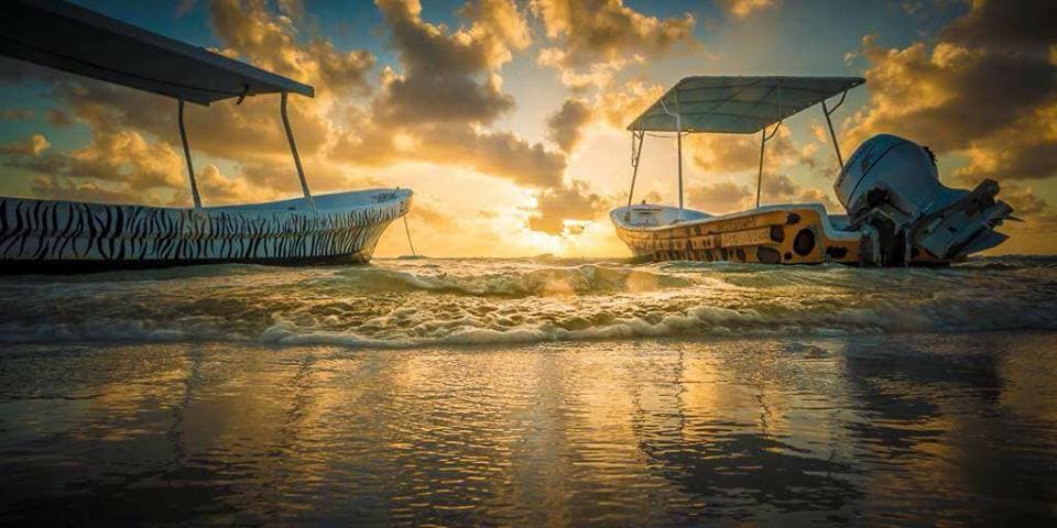 Wet Set Diving Adventures