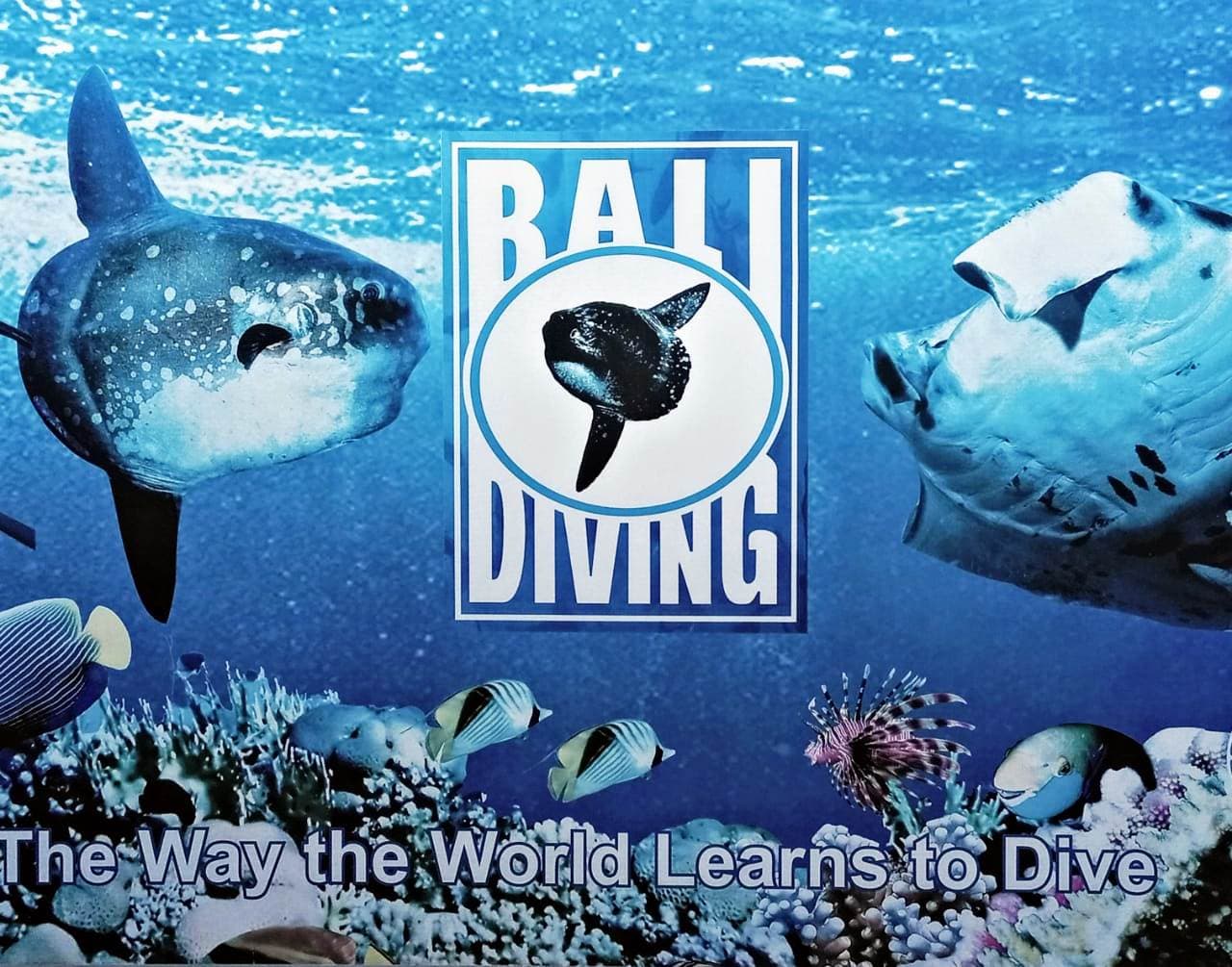 Bali Diving