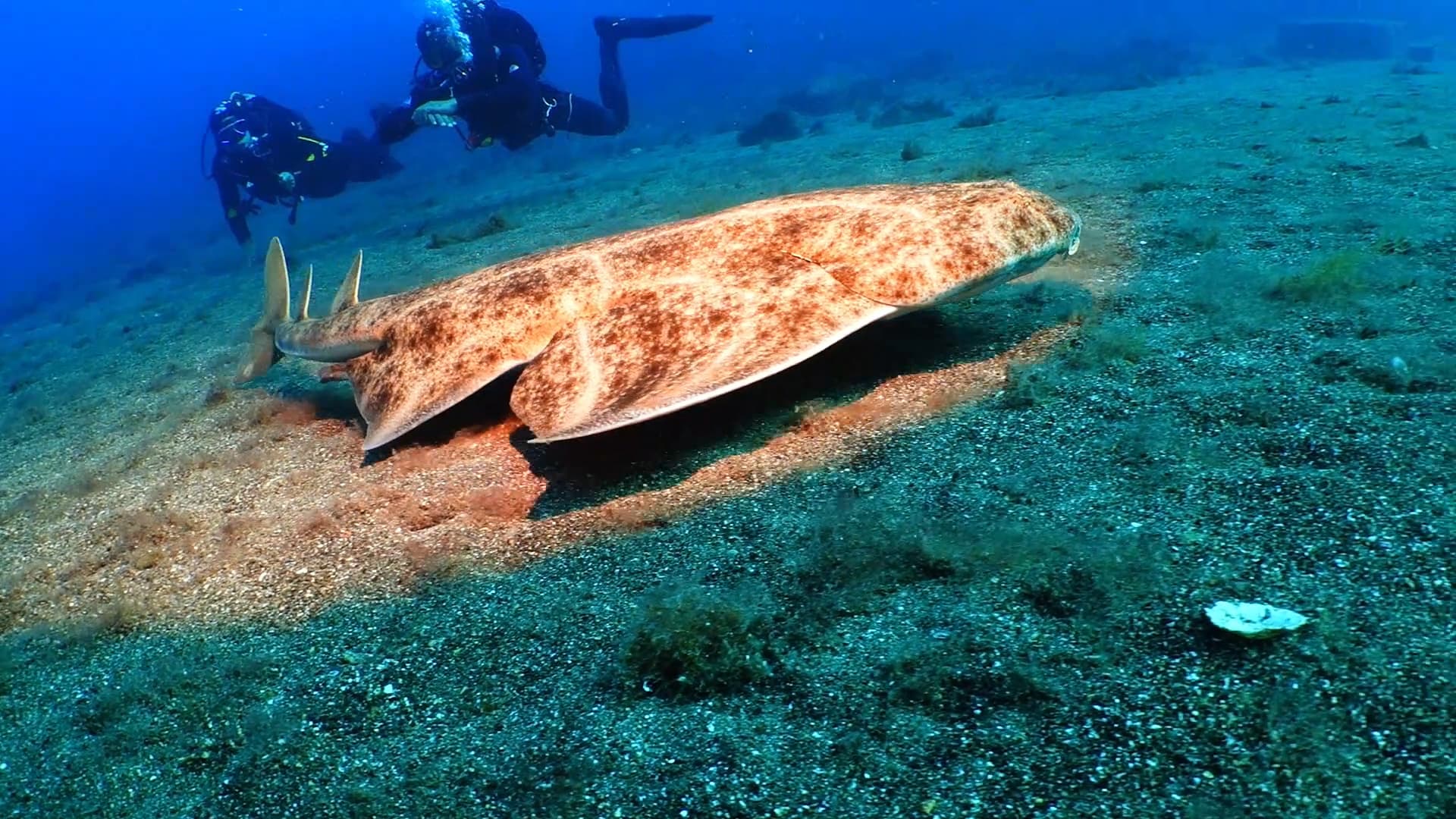 Scuba Legends Dive Center Lanzarote