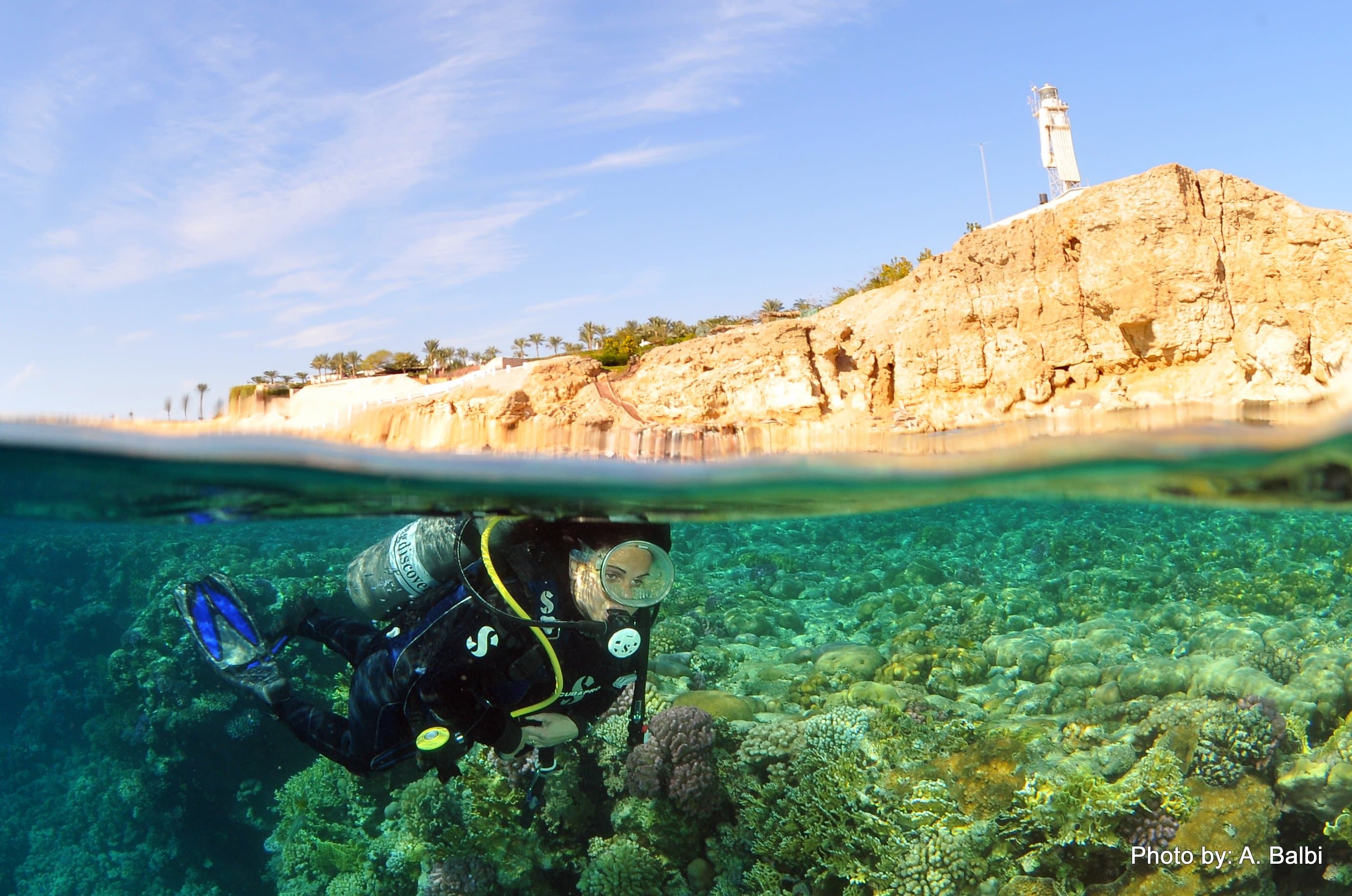 Diving &amp; Discovery