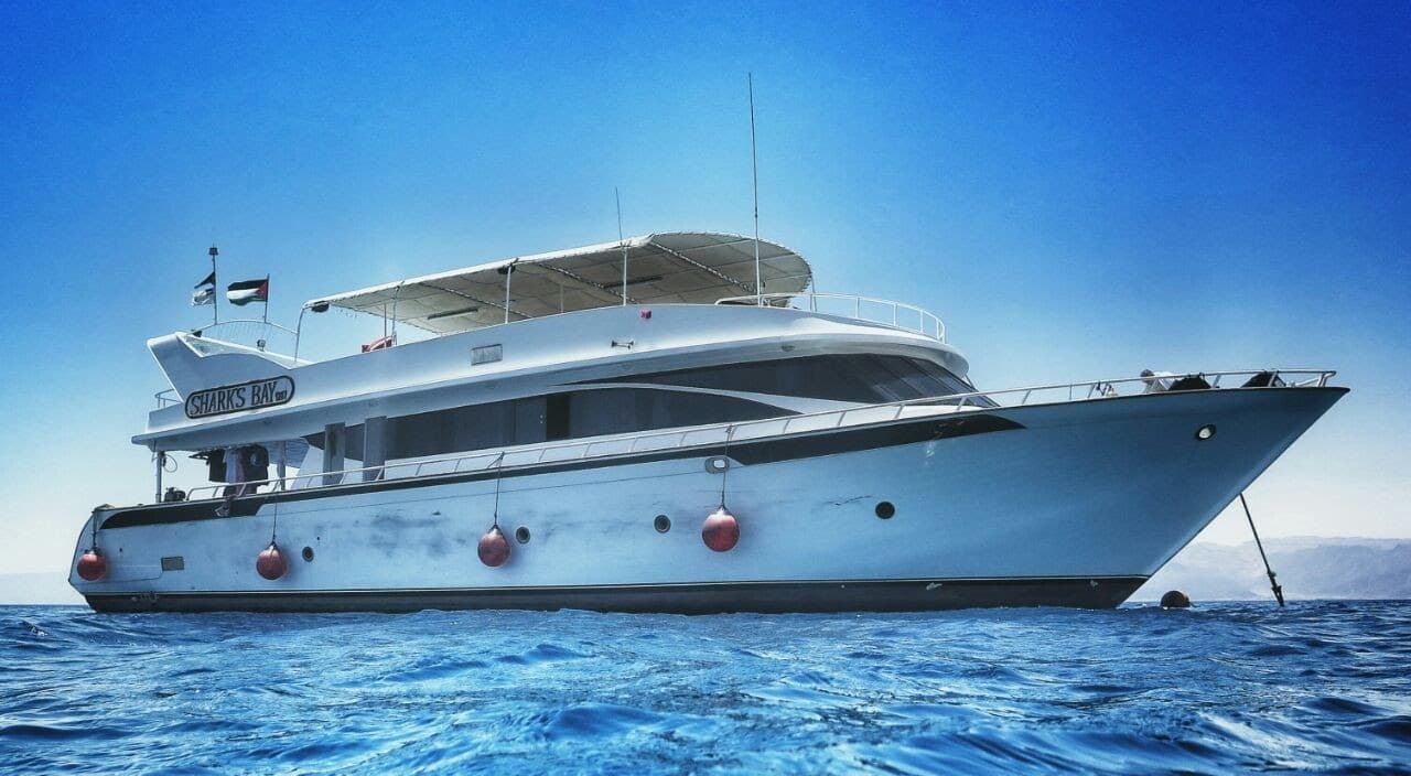 Aqaba Sharks Bay Divers