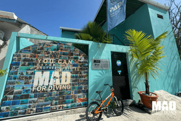 Maldivian Academy of Diving