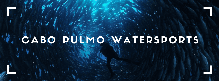 Cabo Pulmo Watersports