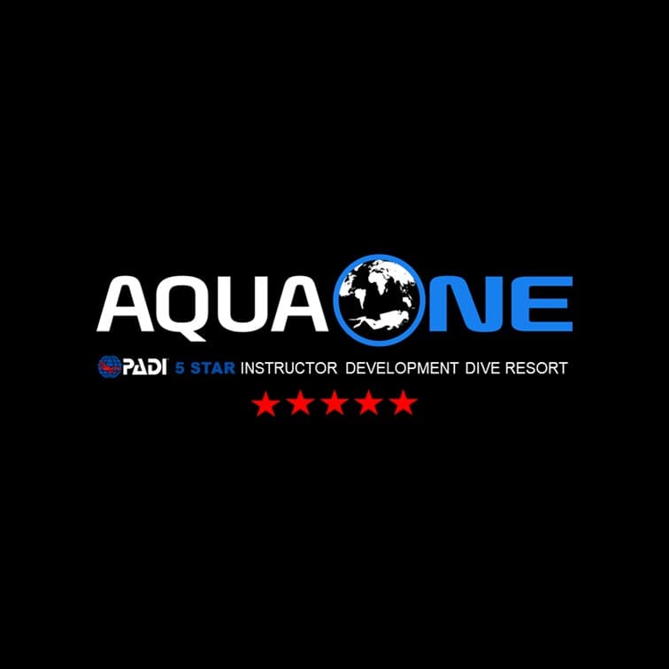 Aqua One Dive