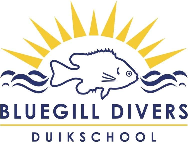 Bluegill Divers