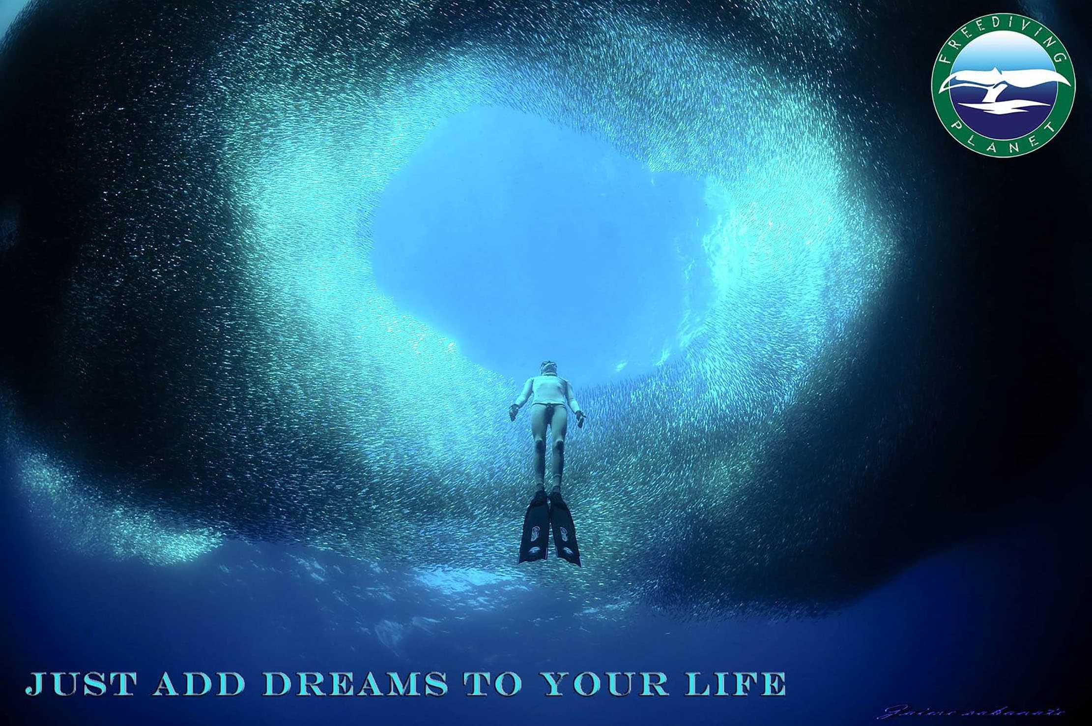 Freediving Planet