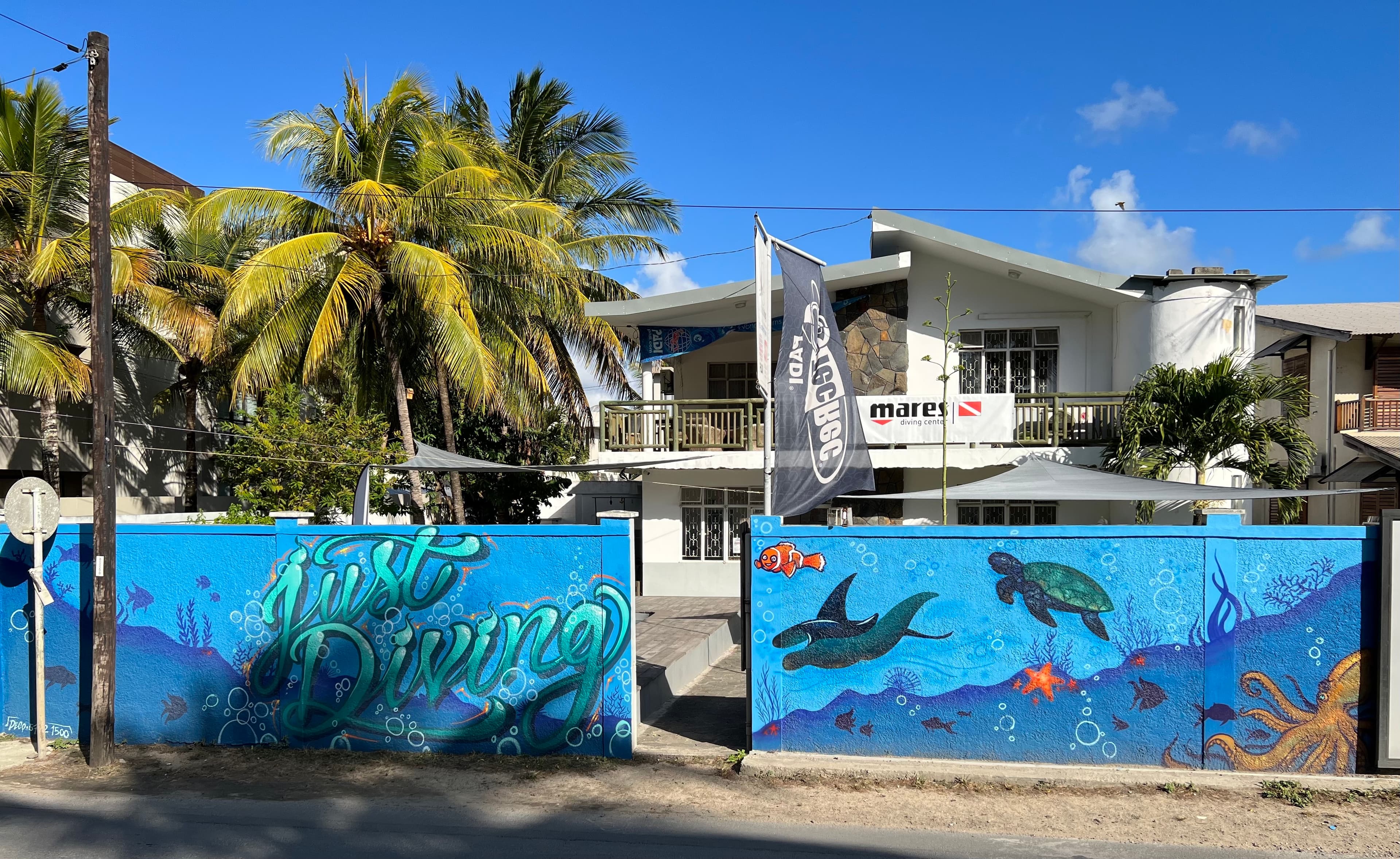 Just Diving in Mauritius