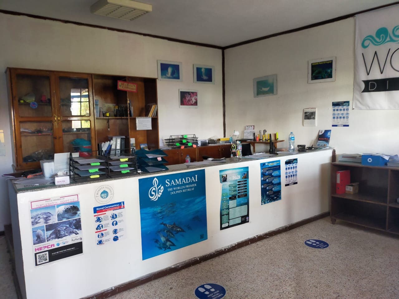 Monkey Divers Diving College