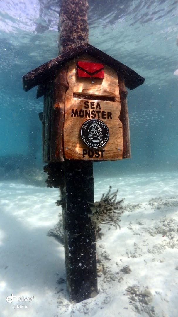 Sea Monster Conservation &amp; Dive