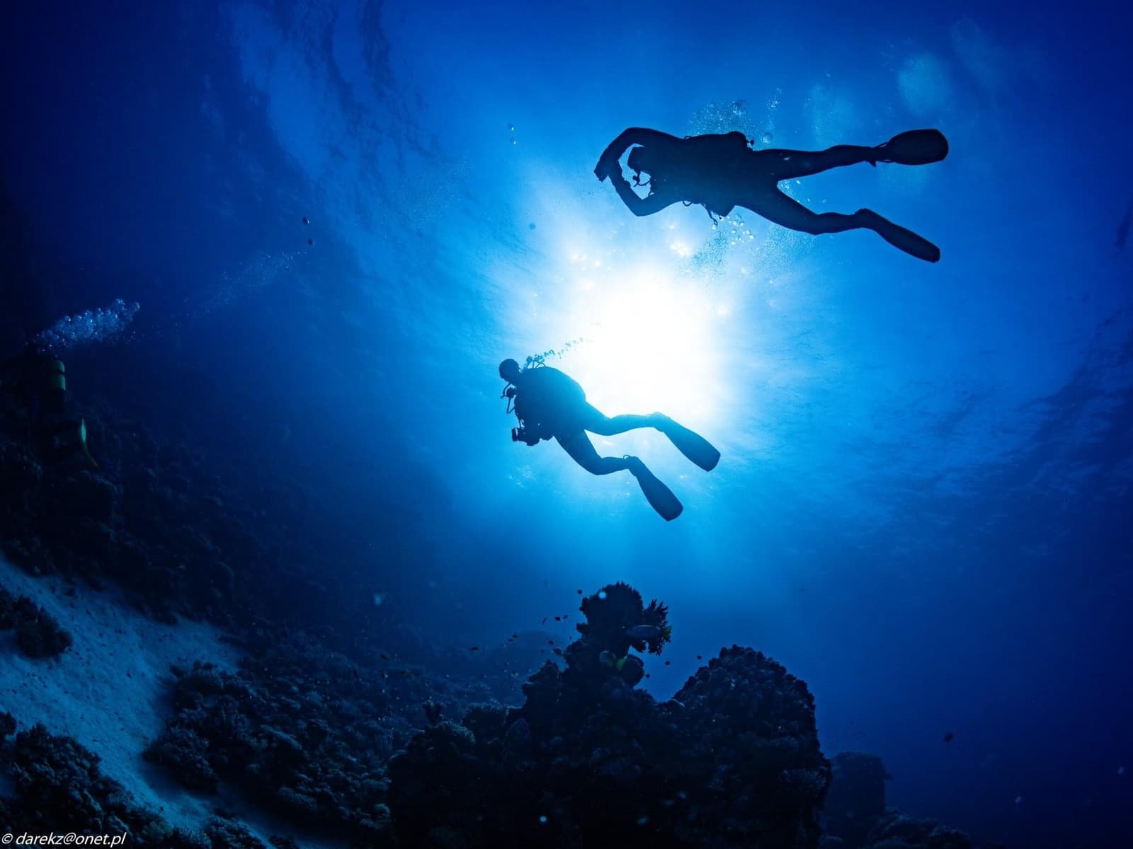 TGI Diving Gorgonia Beach
