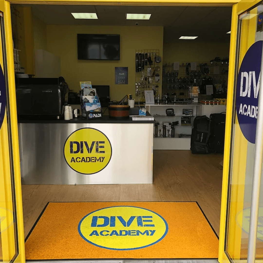 Dive Academy