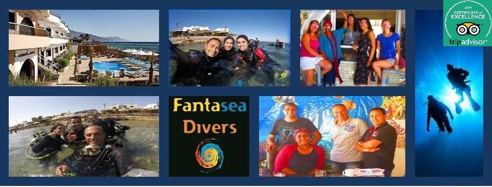 Fantasea Divers