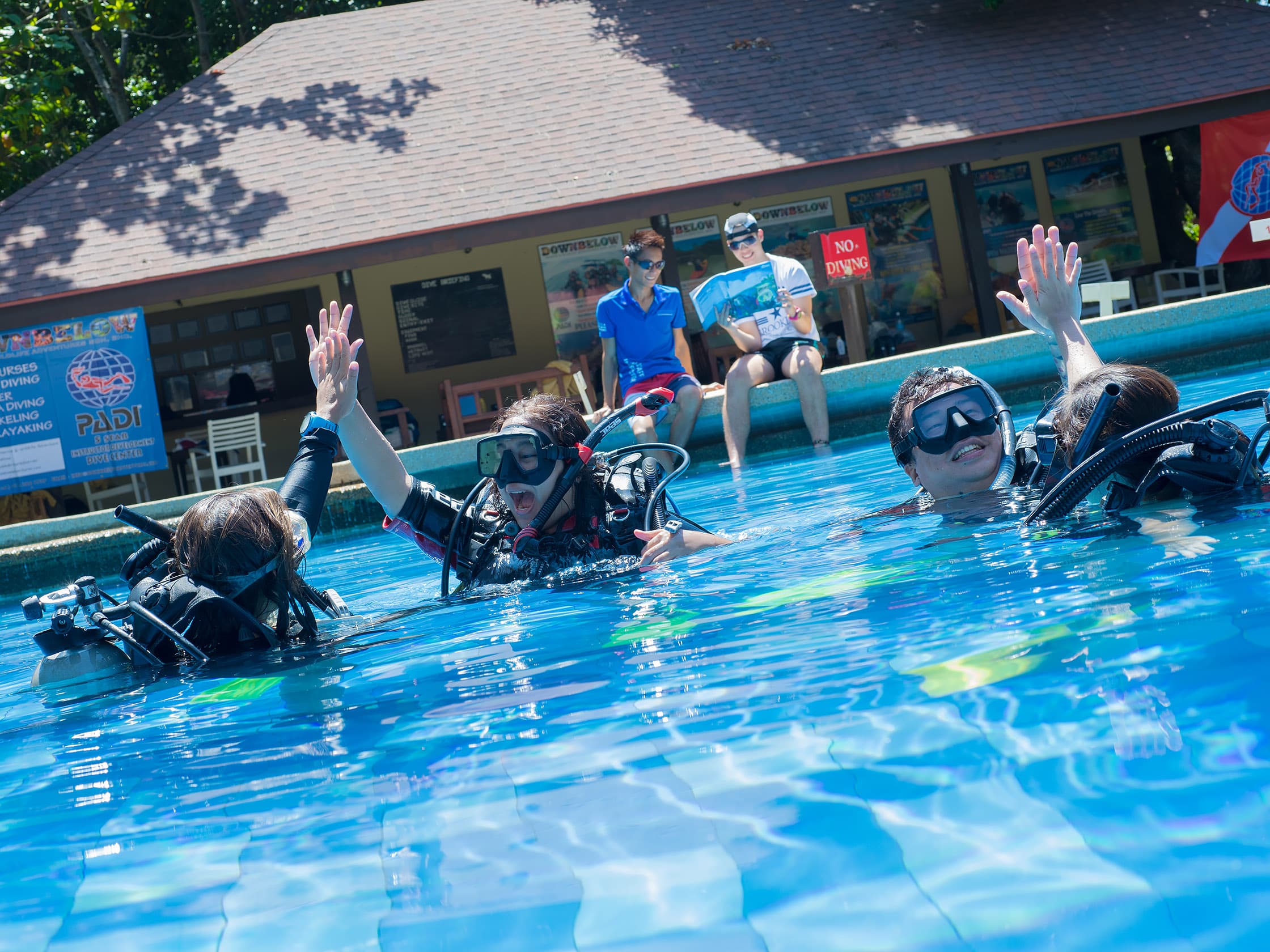 Downbelow Marine &amp; Wildlife Adventures