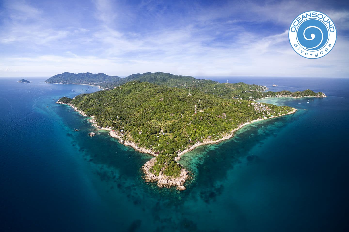 Ocean Sound Dive + Yoga