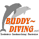 Tauchschule Buddy-Diving