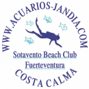 Acuarios Dive Center logo