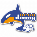 Orca Diving logo