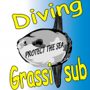 Diving Grassi-Sub logo
