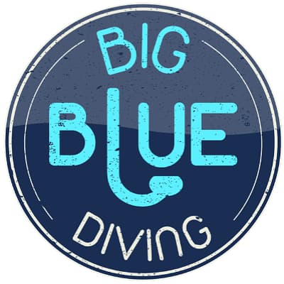 Big Blue Diving