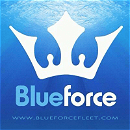 MALDIVES BLUEFORCE ONE logo