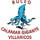 BUCEO CALAMAR GIGANTE logo