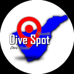 DIVE SPOT logo