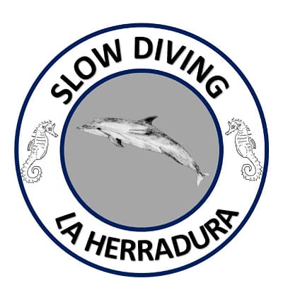 SLOW DIVING LA HERRADURA