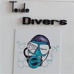 TEIDE DIVERS logo