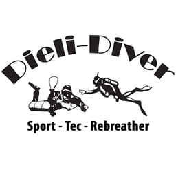 Dieli-Diver logo