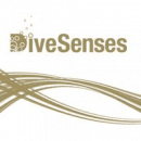 DiveSenses logo