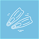 Duikschool Flippers Leuven