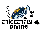 Triggerfish Diving vzw