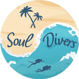 Soul Divers logo