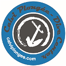 CALVI PLONGEE logo