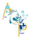 ANSE CARAIBE PLONGEE